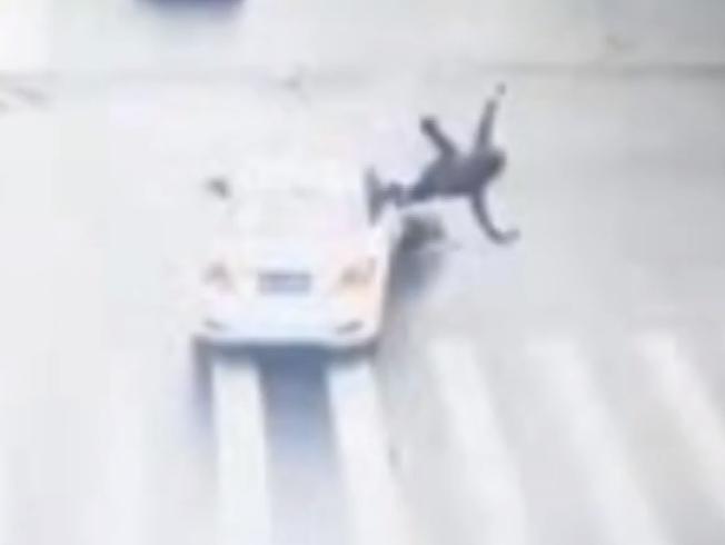 第二天要订婚了 男子却因骑电动车闯红灯被撞飞 当时还在打电话